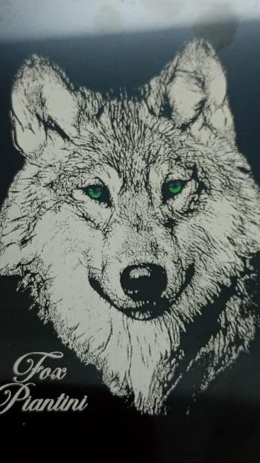 V206 – Paraíso 2 Hab | 145 metros | Torre de lujo Abajo, pequeño y elegante: FoxPiantini – Lujo urbano, seleccionado para ti.